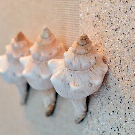 Palazzo Del Corso - Boutique Ξενοδοχείο 5*